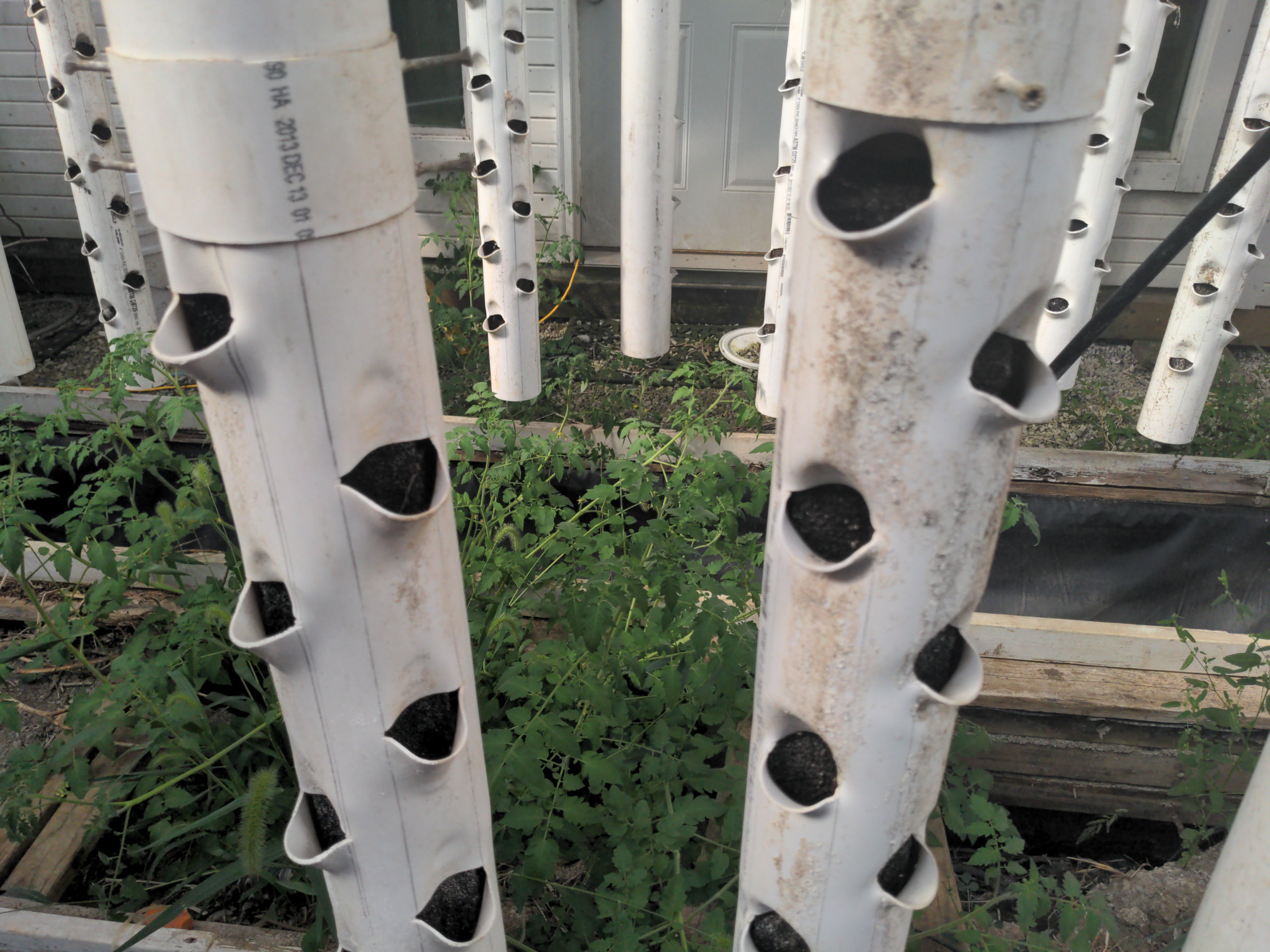 Vertical growing system